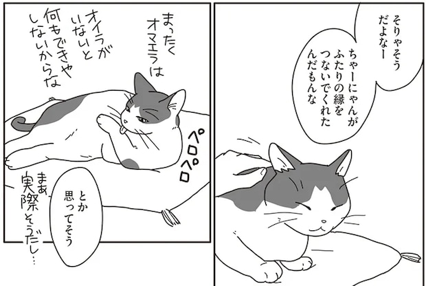 飼い猫が夫婦の縁をつないでくれた。2人と1匹の幸せな日常が続いていくと思っていたのに/世界一幸せな飼い主にしてくれた猫