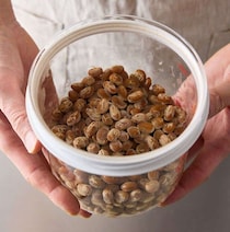 ヨーグルトメーカーで作る「自家製納豆」のレシピ。市販の納豆が"種菌"になる！