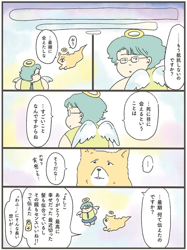 11-06.webp