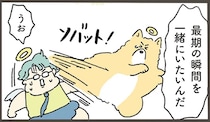 寿命を迎えた犬。最期にどうしても飼い主と過ごしたいと...／天国での暮らしはどうですか2