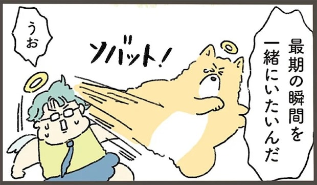 寿命を迎えた犬。最期にどうしても飼い主と過ごしたいと.../天国での暮らしはどうですか2