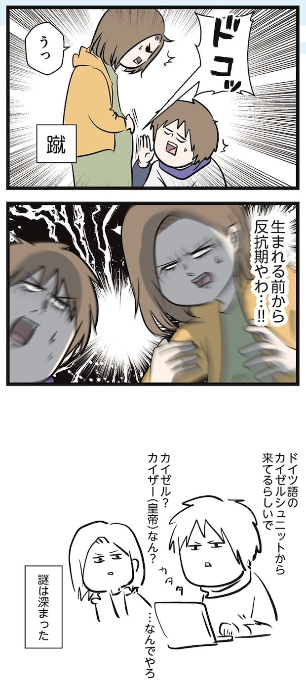 16645732.webp