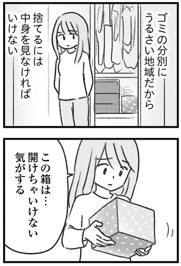 16247757.webp
