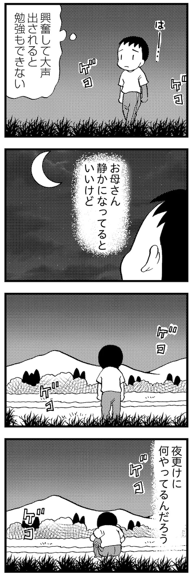 16721623.webp
