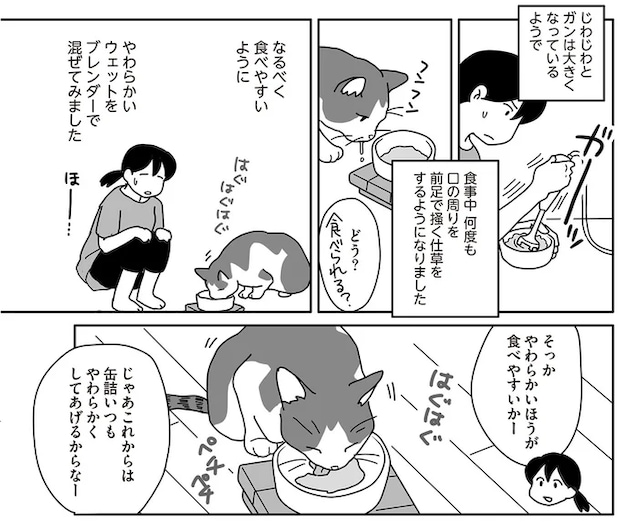08-05.png