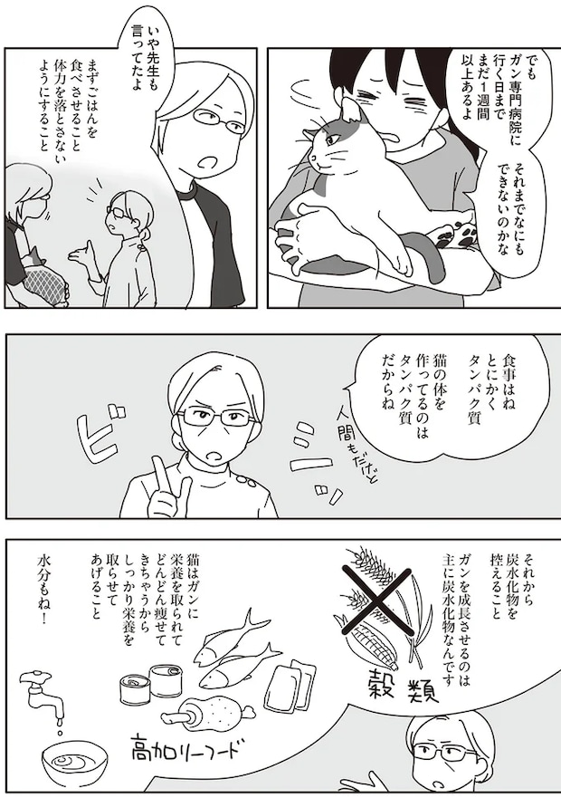 08-02.png
