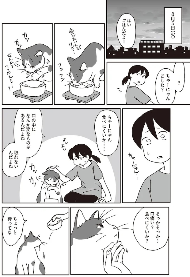 08-04.png