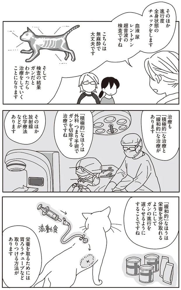 09-04.png