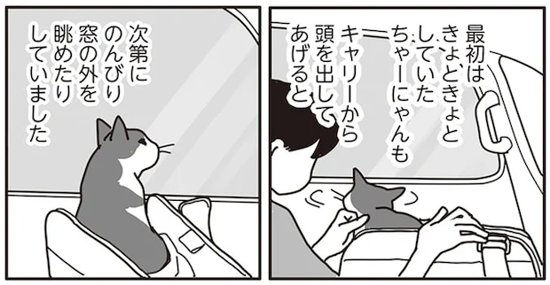 「猫のガン治療」の過酷さに衝撃。下あごの切除...飼い主の判断は/世界一幸せな飼い主にしてくれた猫