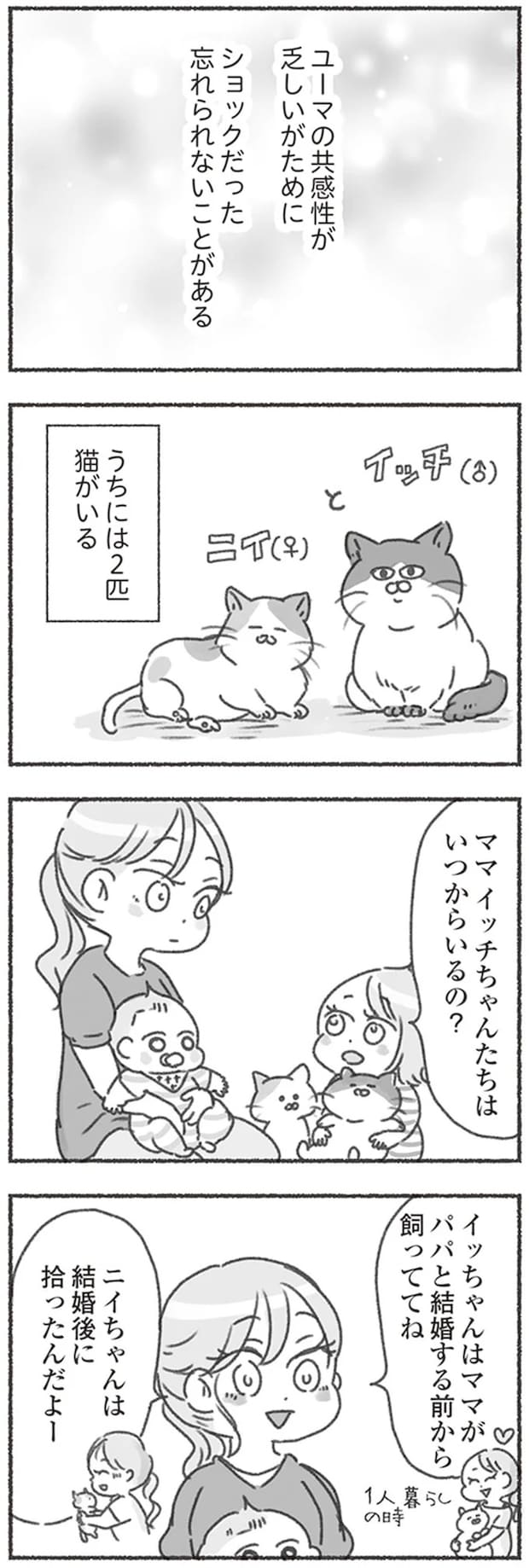 16545959.webp