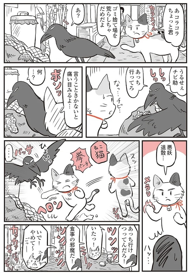 13892907.webp