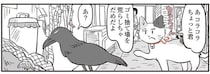 鬼姫様の弟子の三毛猫がパトロール。ゴミを散らかすカラスに注意したら!?／鬼姫神社通り商店街