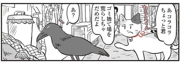 鬼姫様の弟子の三毛猫がパトロール。ゴミを散らかすカラスに注意したら!?／鬼姫神社通り商店街