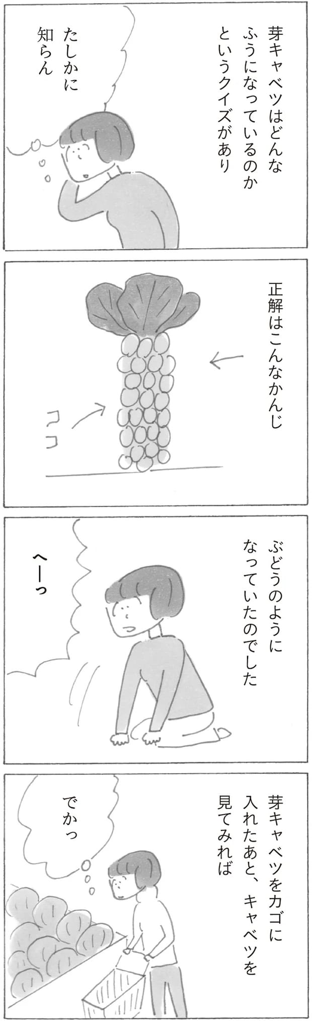 17380018.webp