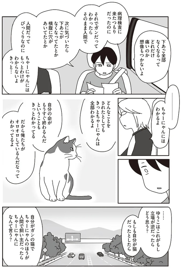 10-03.png