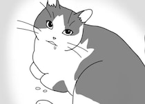 15歳の愛猫の手術はしないと決めた飼い主。医師に告げられた「余命」は...えっ？／世界一幸せな飼い主にしてくれた猫