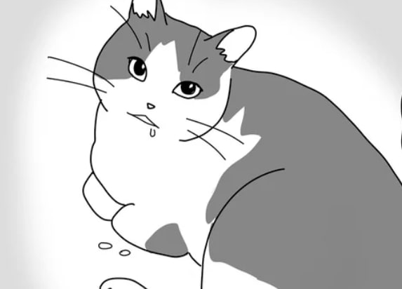 15歳の愛猫の手術はしないと決めた飼い主。医師に告げられた「余命」は...えっ？／世界一幸せな飼い主にしてくれた猫