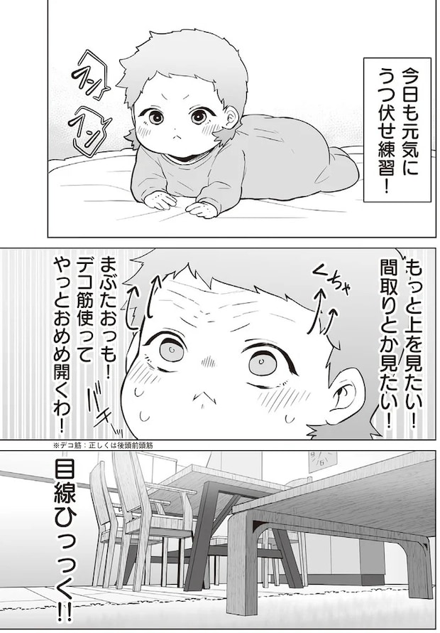 181.webp