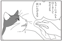 ガンで余命3カ月の猫のために。夫婦で取り組んだ看病の始まり／世界一幸せな飼い主にしてくれた猫