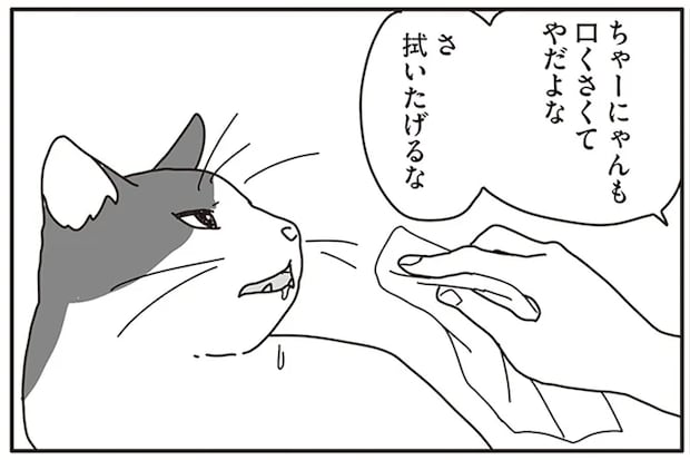 ガンで余命3カ月の猫のために。夫婦で取り組んだ看病の始まり/世界一幸せな飼い主にしてくれた猫