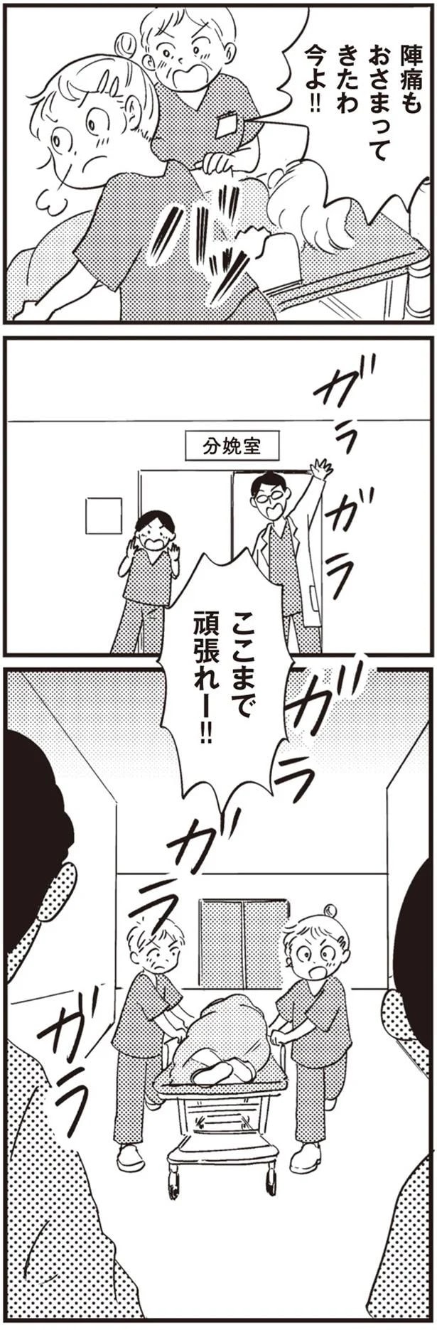 14863245.webp