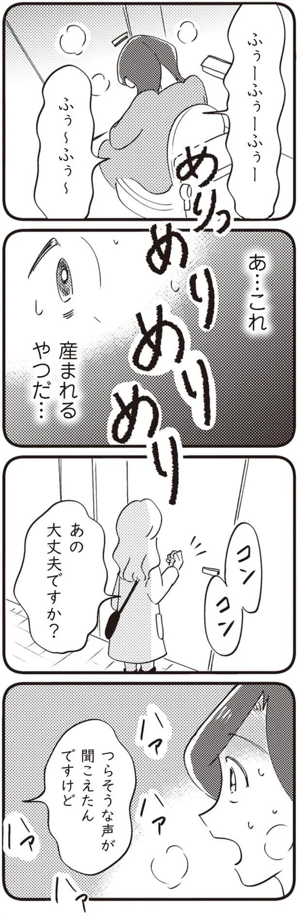 14863263.webp