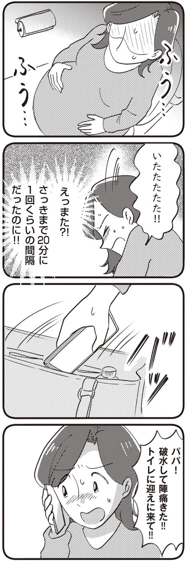 14863262.webp