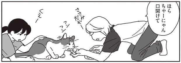 口内のガンが大きくなり、苦しむ愛猫。大好きなものを食べたいだけ食べてほしくて／世界一幸せな飼い主にしてくれた猫