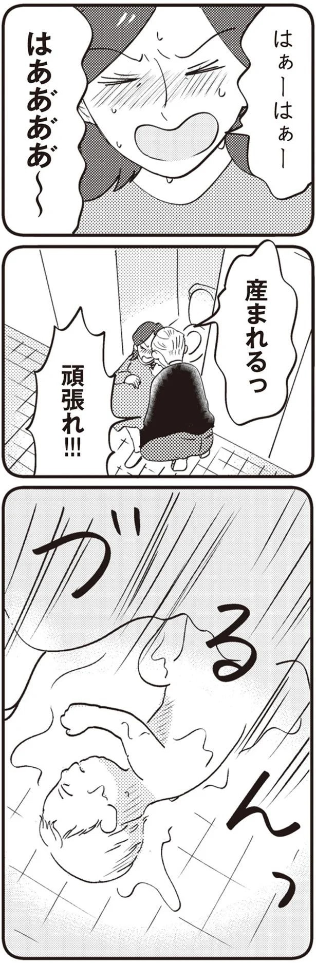 14863272.webp