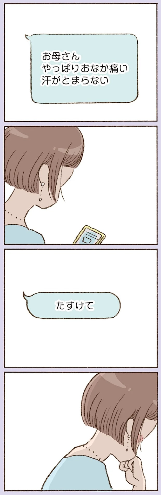16508231.webp
