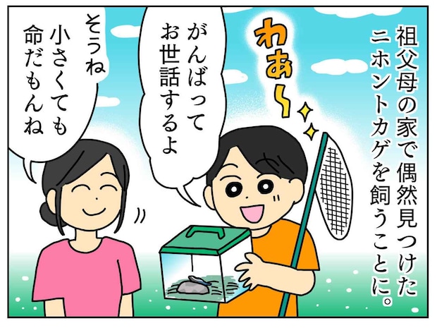 ゲームが大好きな小1息子。トカゲを拾い飼うことにした結果 →『思わぬ展開』に母、びっくり