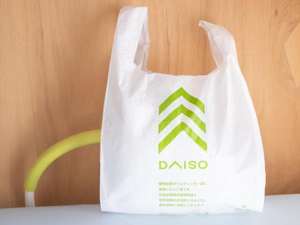 え、全部【ダイソー】なの！？ ハシゴしてでも買いたい♡「おしゃれバッグ」