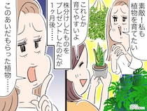 うちの観葉植物を見て「素敵！ 私にもちょうだい♡」友人に株分けして贈るも →『悲しい結末』に