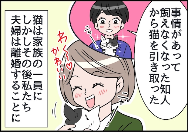愛猫を連れて離婚。でも「実は、その猫──」知人から告げられた【残酷な真実】に「えぇっ！？」