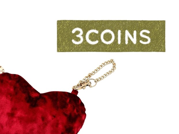 バッグにつけられる「激かわポーチ」→【3COINS】に売ってたーーッ！