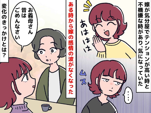 「お義母さん今までごめんなさい」ずっと苦手だった【気分屋の嫁】いきなり私に頭を下げてきたワケ