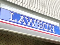 「想像以上の本格派！」「じゅんわり♡」【ローソン】即カゴ推奨♡「ご褒美スイーツ」