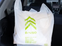 お願い！ 在庫残っててぇぇええッ！【ダイソー】プチプラに見えない「おしゃれバッグ」