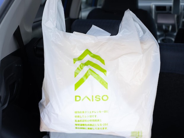 お願い！ 在庫残っててぇぇええッ！【ダイソー】プチプラに見えない「おしゃれバッグ」