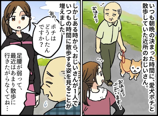 「愛犬が旅立ったんだ」散歩を止めたおじいさんを襲った『異変』数か月後ぶりに【1人で歩き出した理由】に涙