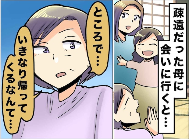 「親子でも分かり合えないんだ」夫の借金で子連れ離婚し、数年ぶりに再会した母が放った『残酷な一言』
