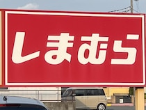 「ブラウン × ブルー」がオシャレ！【しまむら】パトで狙いたい♡「配色トップス」