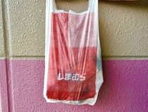 【しまむらの春カラーシャツ】が可愛い！ 大人は“こう着る”♡「お手本コーデ」