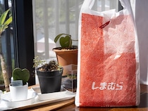 1,000円台で買えるのさすが【しまむら】！ デザイン可愛い♡「今 → 春トップス」