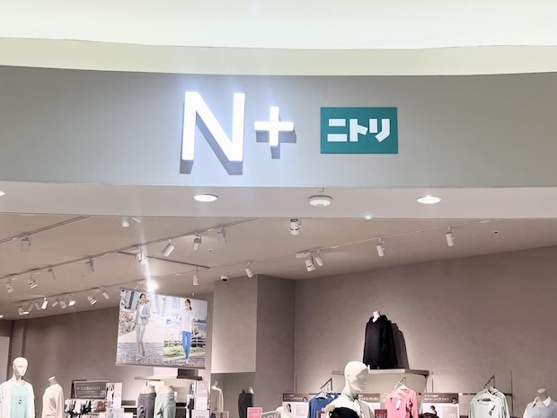 えっ、この値段でいいの!?【ニトリのN+】高見え止まらない「大人パンツ」