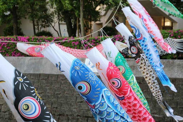 嫁いだ私を震え上がらせた【巨大鯉のぼり】優雅な光景の『壮絶な裏側』に「家族の執念を見た」