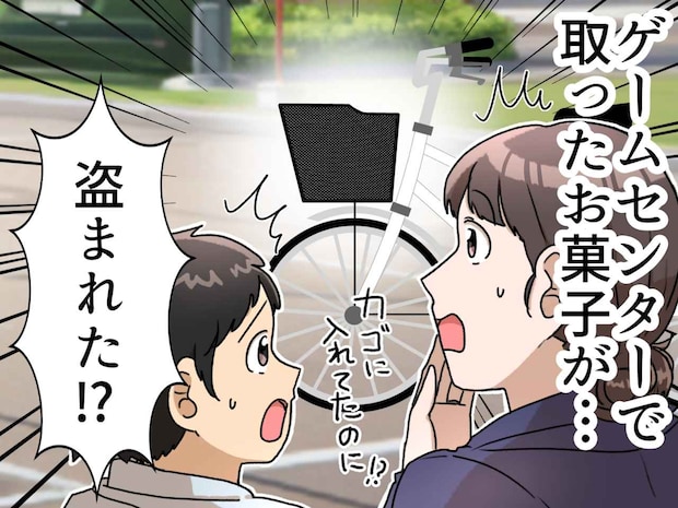 自転車のカゴから消えた息子の「お宝」。防犯カメラを確認する前に判明した、まさかの“犯人”の正体とは？