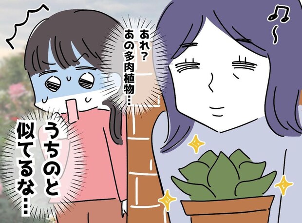 育てていた植物の鉢が、隣人の庭に？！「同じなだけ」しらばっくれる相手に『動かぬ証拠』を突き付ける！