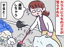 「えっ、うちのゴミが！」カラスに荒らされ、絶望の朝 → ご近所さんの【神対応】に胸が熱くなった