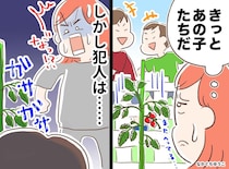 ＜庭のトマトを盗んだのは隣の子？＞焦る私が【夜中に真犯人を発見！】自分の勝手な思い込みに猛反省